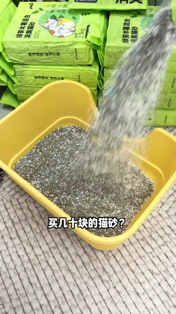 宠物内容作品 03封面